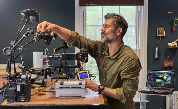 'Insects: Microsculptures Magnified' insect photography by Levon Biss at ArtScience Museum Singapore