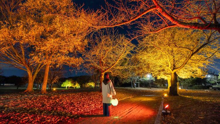 Daisen Night Balloon Festa