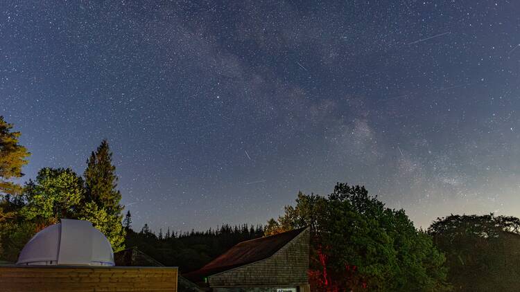 Grizedale Observatory Lake District Grizedale Observatory Lake District
