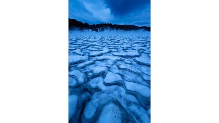 石田道行 写真展「Forest」