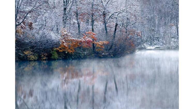 石田道行 写真展「Forest」