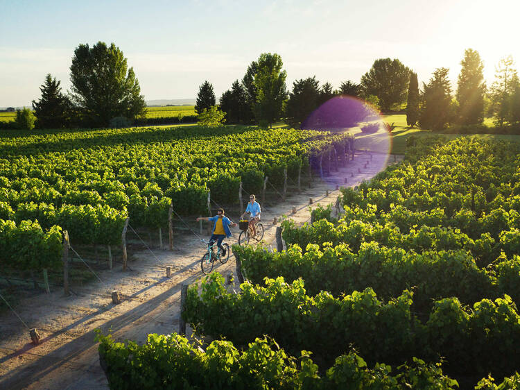 Mendoza in Manso Mode: Getaways with Promotions Worth It