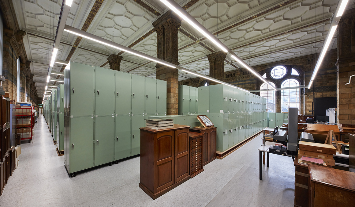 The Natural History Museum is opening two galleries that have been closed for decades