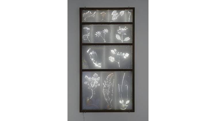 Winter Show｜大西伸明・児玉靖枝・佐々木類・牡丹靖佳・前川強