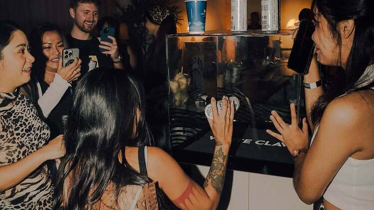 whiteclawth whiteclawth