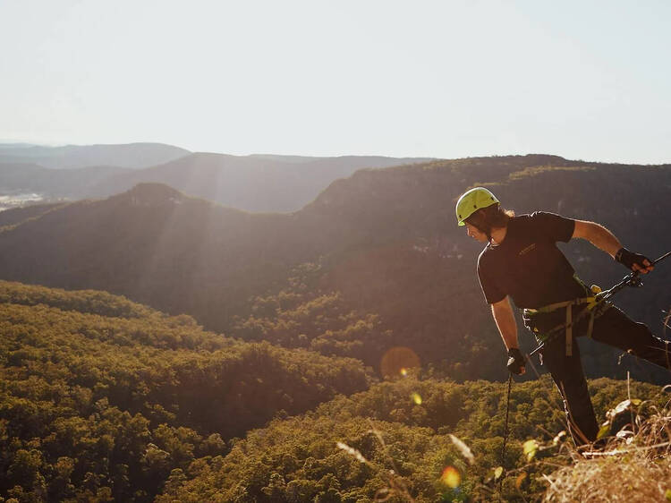ジップラインから国立公園の森を見下ろす。 ジップラインから国立公園の森を見下ろす。