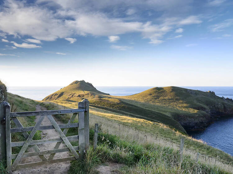 イングランド全土の海岸線を一周する。 イングランド全土の海岸線を一周する。