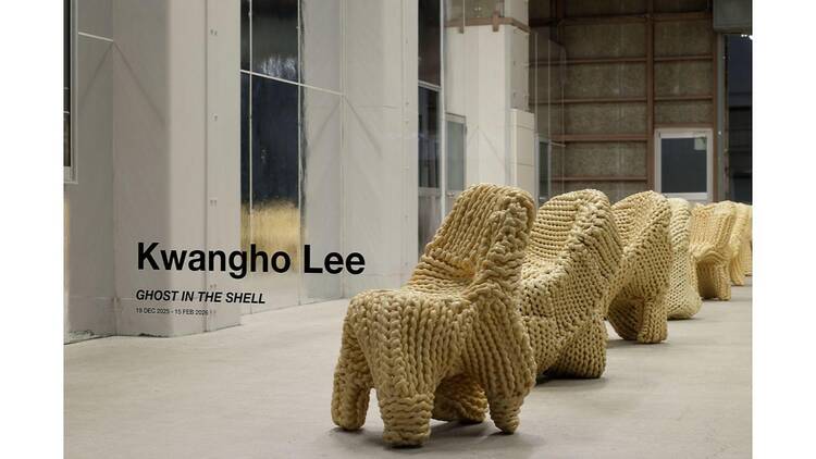 大西麻貴＋百田有希 / o+h展：⽣きた全体――A Living Whole