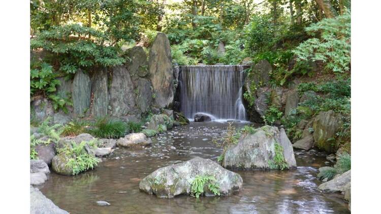 新春 年の初めは都立庭園でお正月