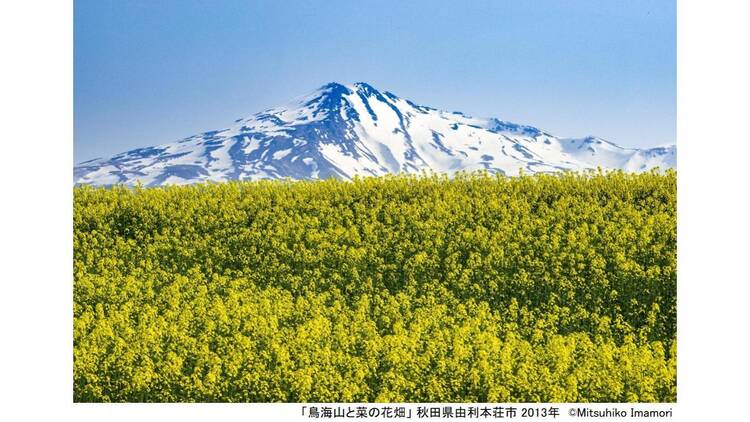 写真展 今森光彦 にっぽんの里山を旅する