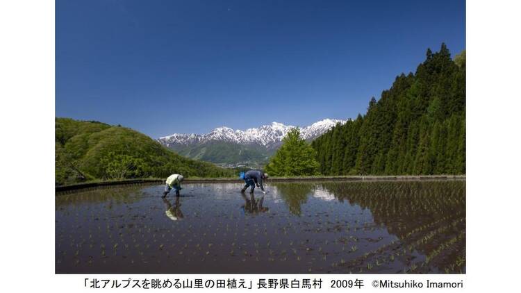写真展 今森光彦 にっぽんの里山を旅する