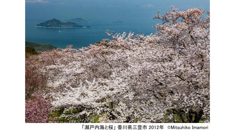 写真展 今森光彦 にっぽんの里山を旅する