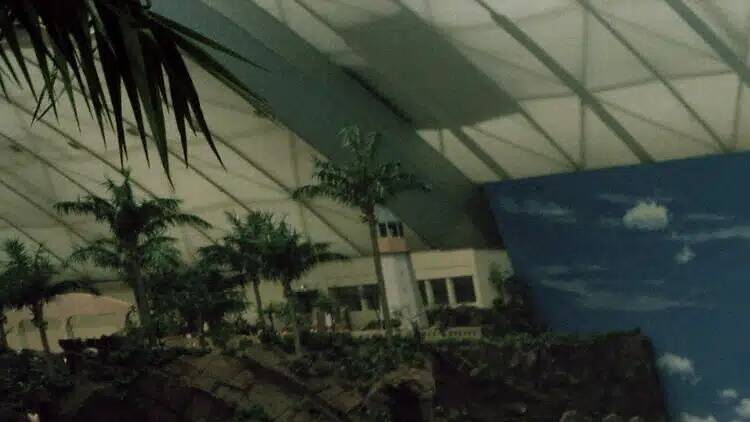 Célébrer l'œuvre de l'icône de la photo tout juste disparue Martin Parr