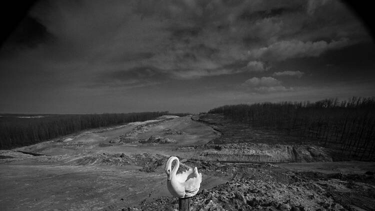 Sözcükler - Hilmi Yavuz / Fotoğraflar - Kamil Fırat Sözcükler - Hilmi Yavuz / Fotoğraflar - Kamil Fırat