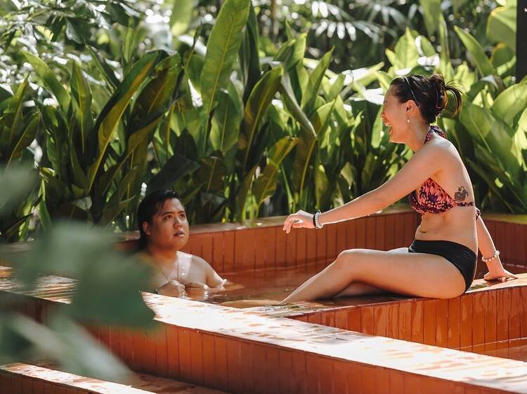 8. Photosynthesise your way to recovery