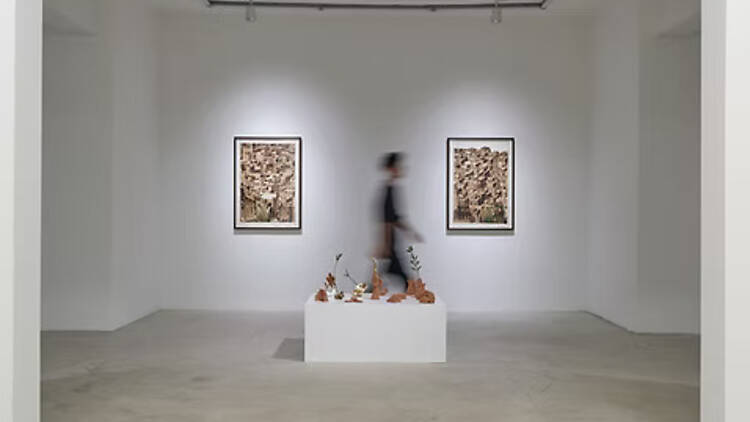 Ferda Art Platform Ferda Art Platform