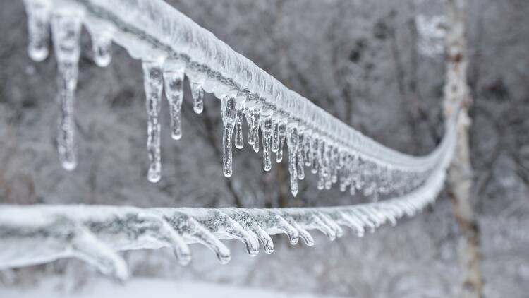 Up to 15 mm of ice expected across Montreal as the city gets hit with a freezing rain warning
