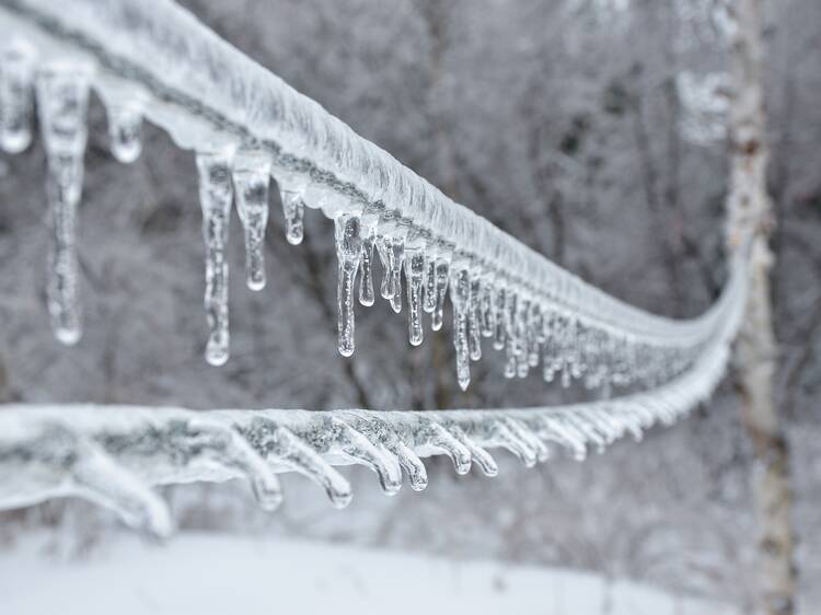 Up to 15 mm of ice expected across Montreal as the city gets hit with a freezing rain warning