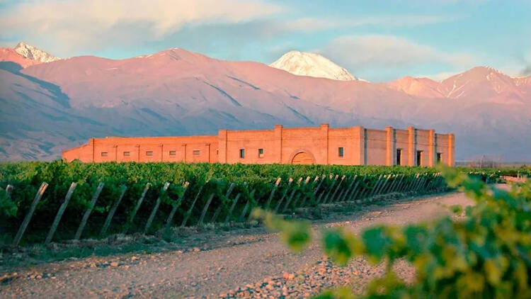 Perderse por el Valle de Uco: la ruta del vino más linda de Mendoza