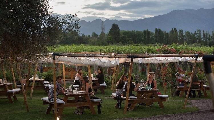Vivir la experiencia gastronómica con el sello de Francis Mallmann