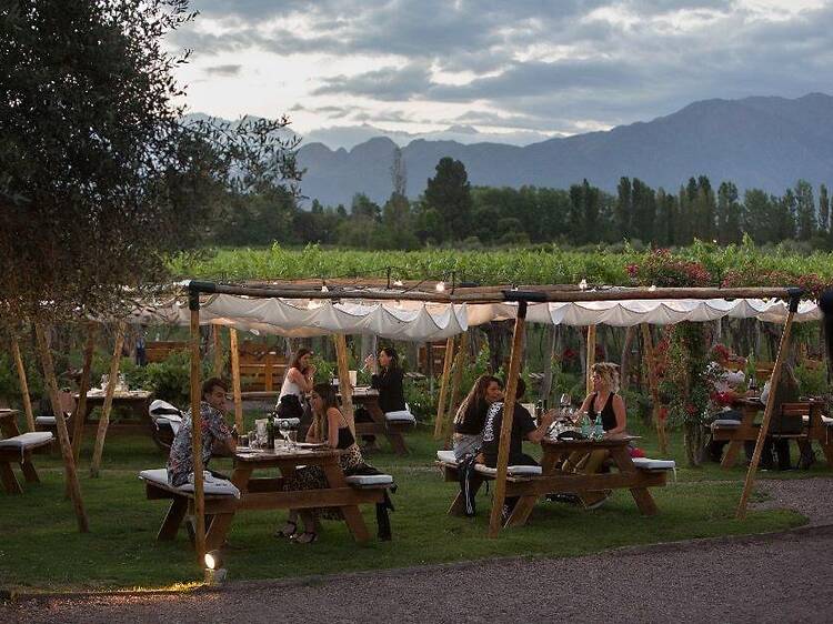 Vivir la experiencia gastronómica con el sello de Francis Mallmann