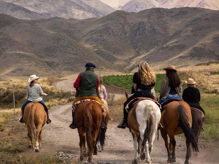 Hacer una cabalgata en Tupungato