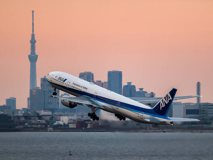 These were officially the world’s busiest flight routes this year