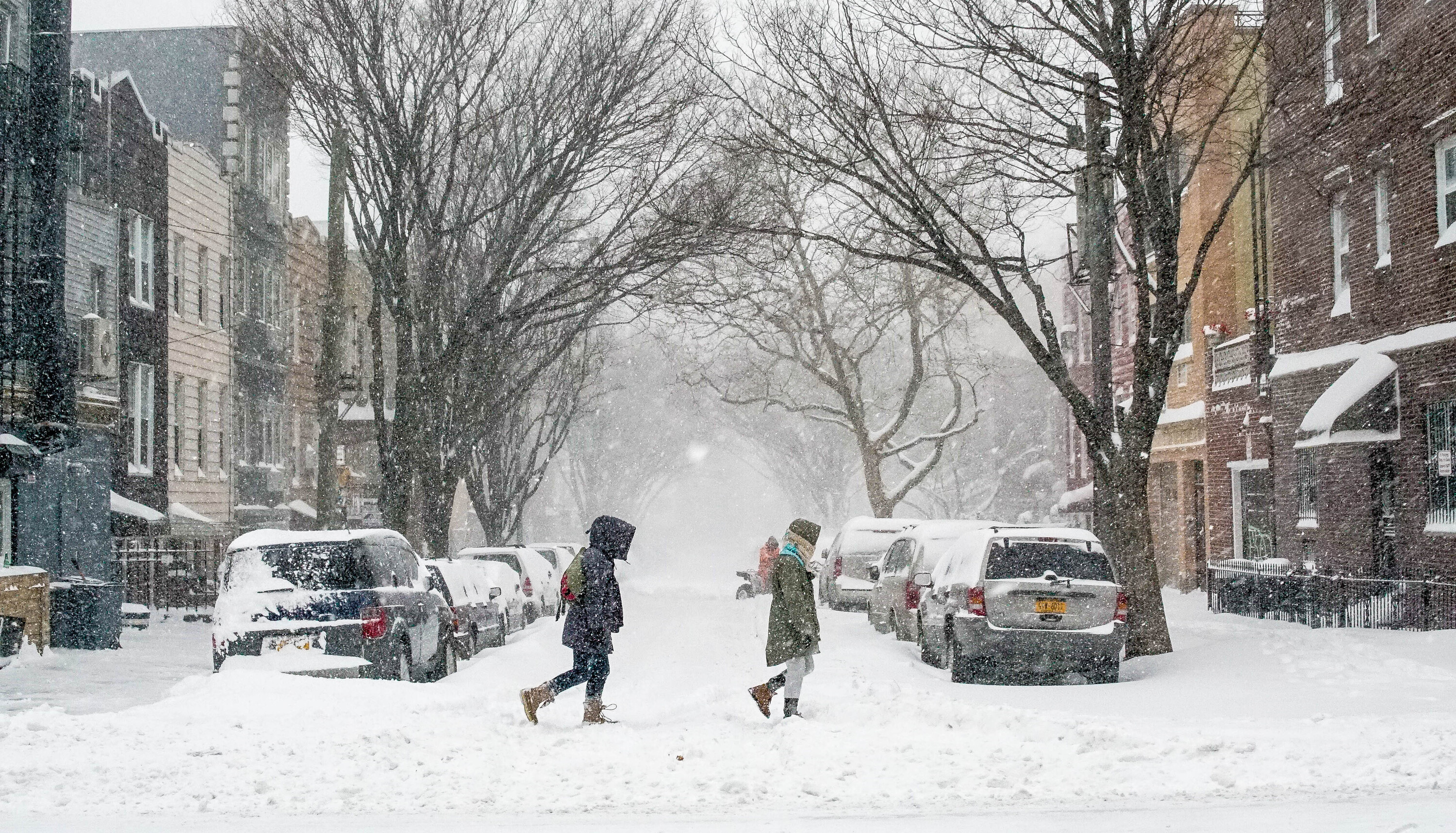 Brooklyn's viral Snow King had a very short reign