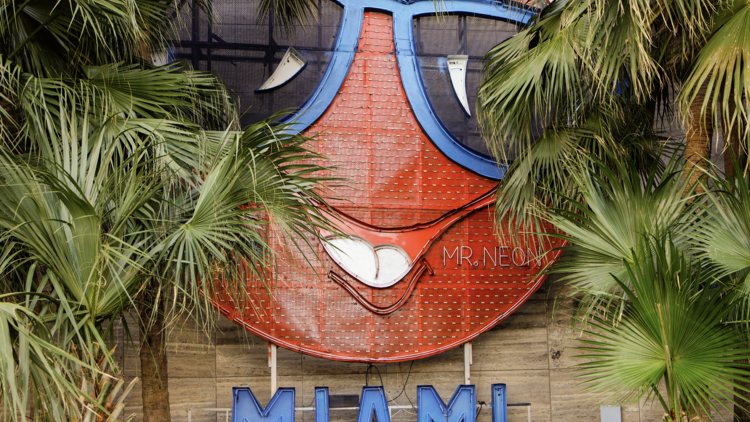 Mr. Neon Miami
