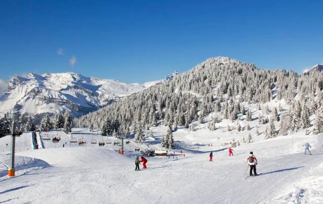neu, esquiar. fran&ccedil;a