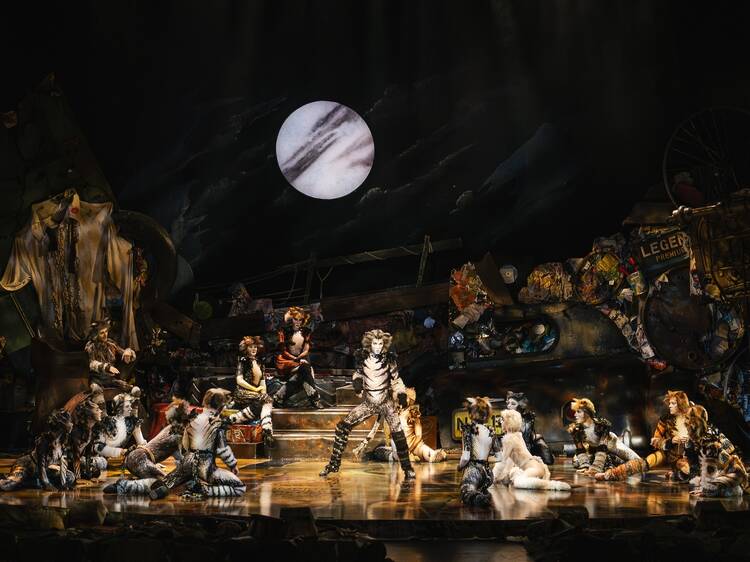Aqui há gato(s). O musical CATS está de regresso ao Porto