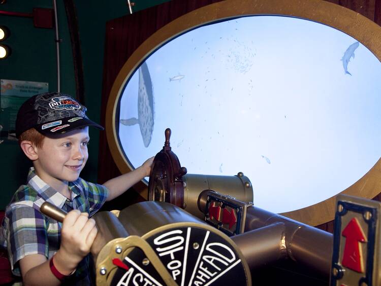 Voyage to the Deep – Underwater Adventures