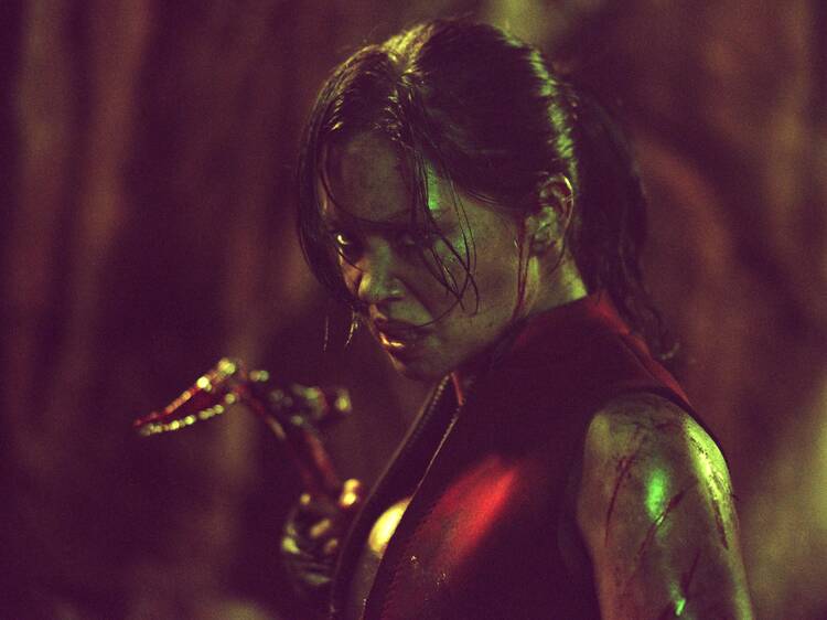 The Descent — Release: January 1