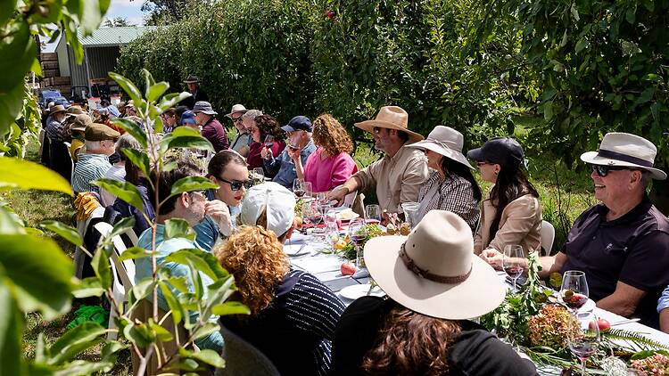 A long lunch at Orange Food Week