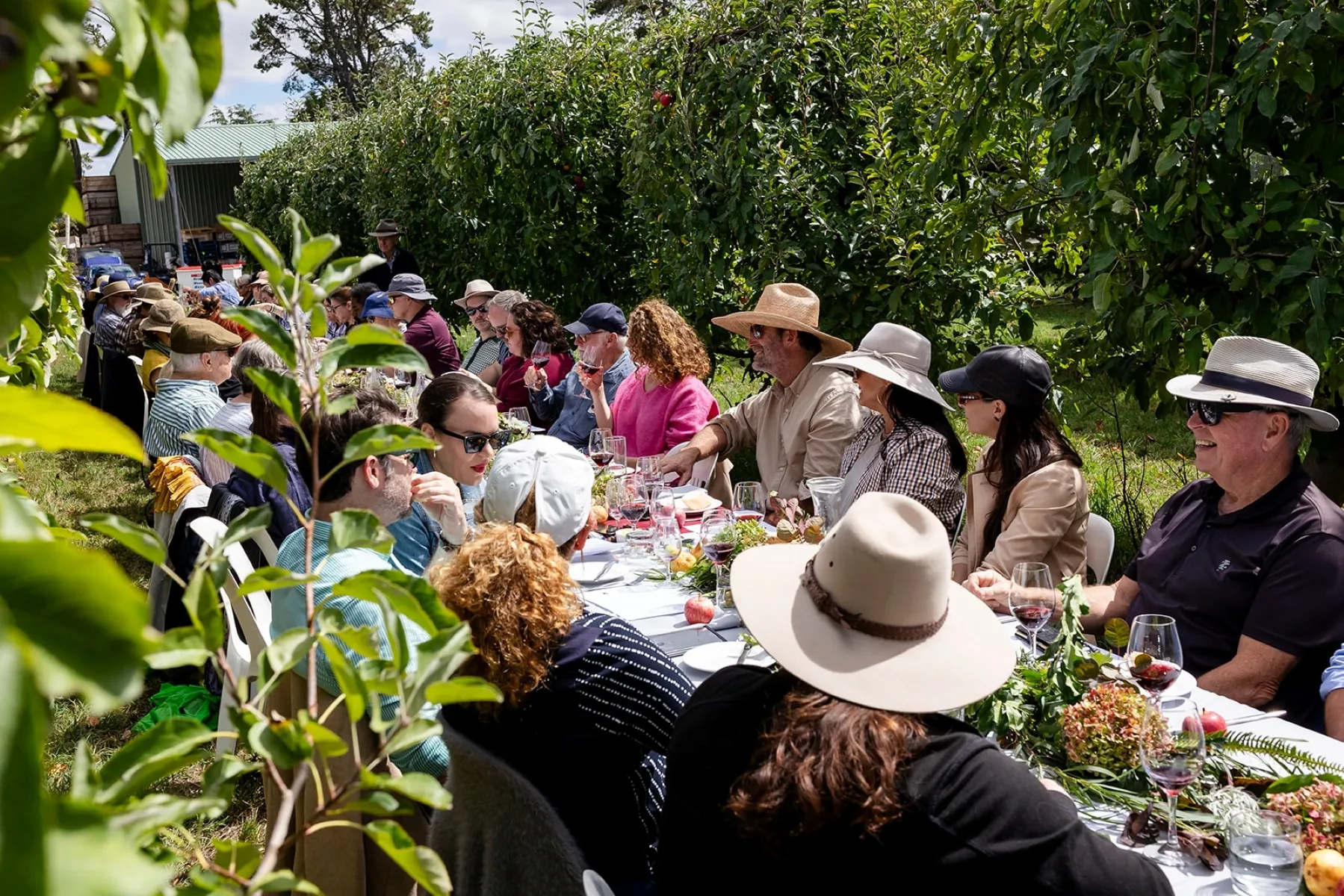 A long lunch at Orange Food Week