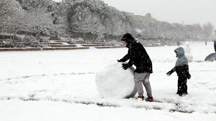 neu, igualada neu, igualada