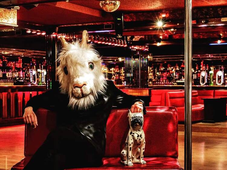 As melhores peças de teatro para ver esta semana no Porto As melhores peças de teatro para ver esta semana no Porto