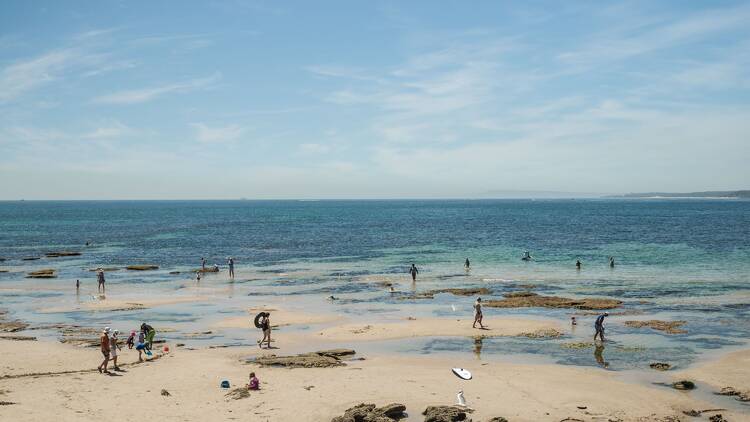 Queenscliff Queenscliff waterfront.