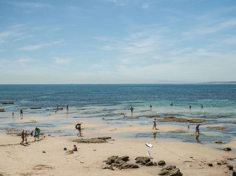 More than 100 free family-friendly activities are taking place along Victoria's coastline this summer