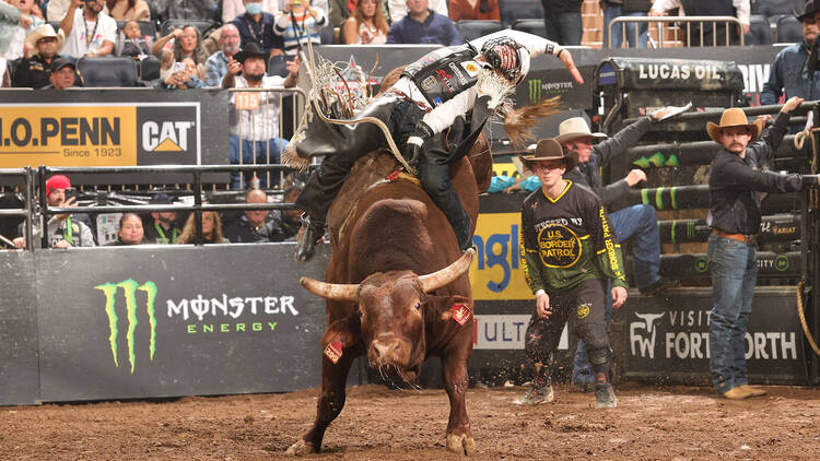 PBR Monster Energy Buck Off at MSG