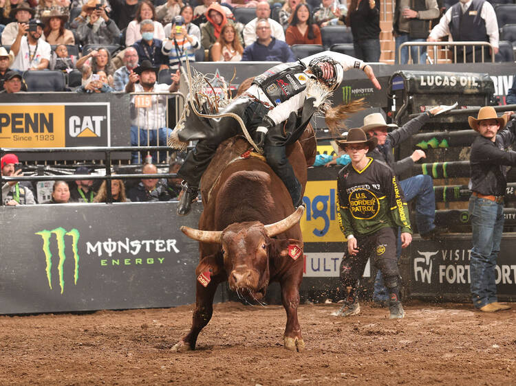 PBR Monster Energy Buck Off at MSG