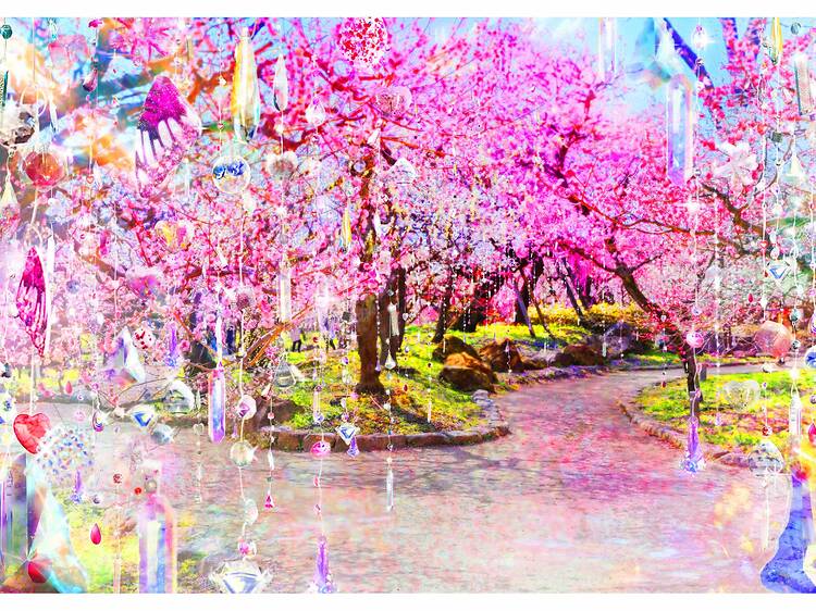 Kyoto Nippon Festival 2026