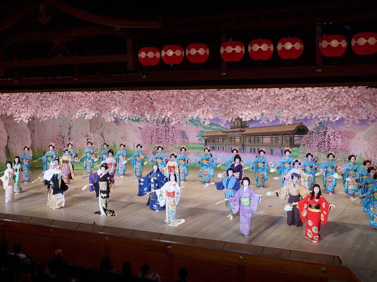 Miyako Odori: Geisha and Maiko Dance Performance
