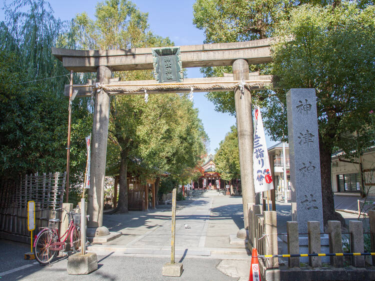 Kamitsu Shrine Juso Market