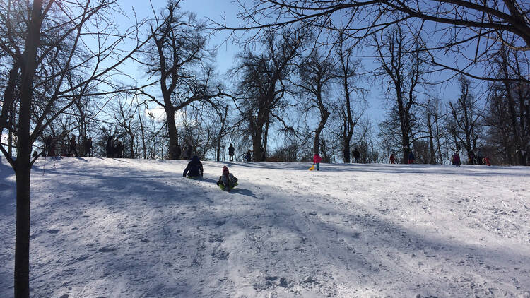 Szánkózás a Normafán, Anna réten Budapesten