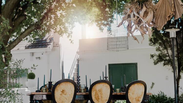 Olives & Plates at Wits Club