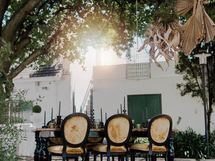 Olives & Plates at Wits Club