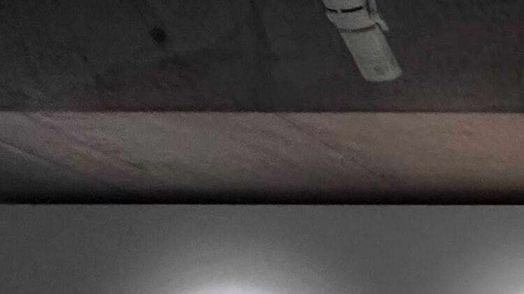 映画「国宝」展