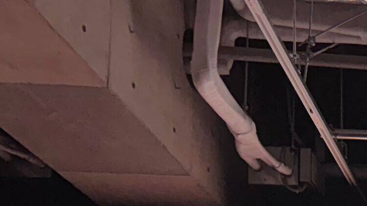 映画「国宝」展