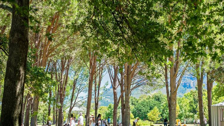 Boschendal, Franschhoek Boschendal, Franschhoek